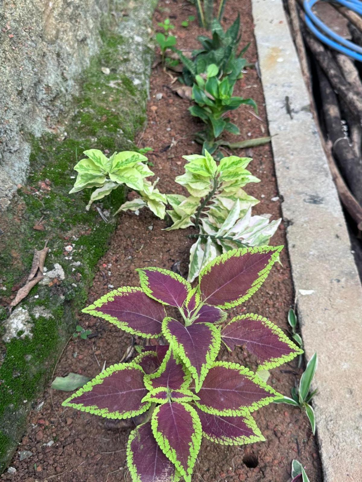 Green Nature มิริสซา ภายนอก รูปภาพ
